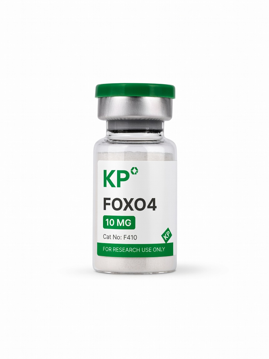 FOXO4